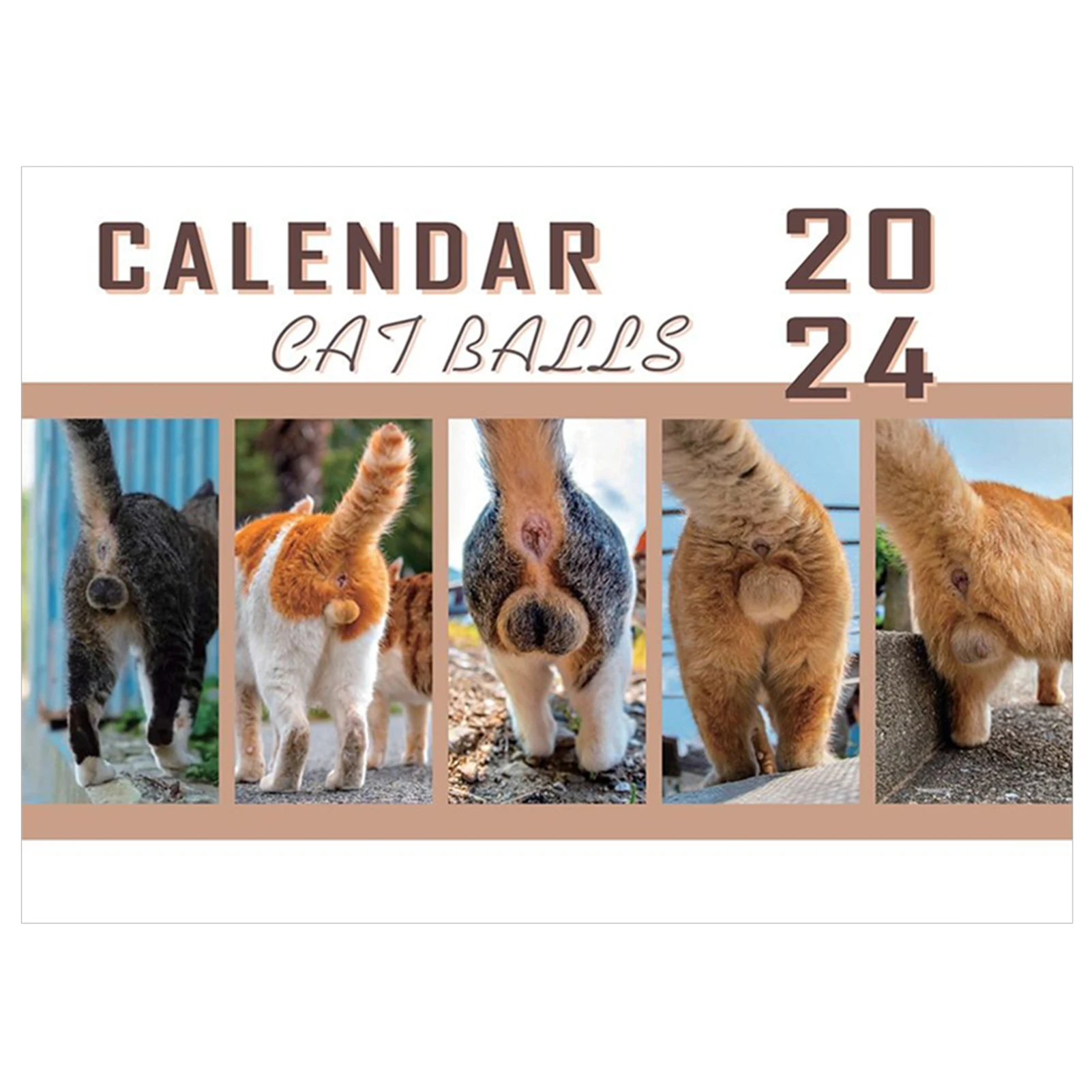 Įdomu Kalendorių Su Kačių Šaudykla Asmeninį Kalendorių Dekoro Katės Kačiukai Mylėtojas