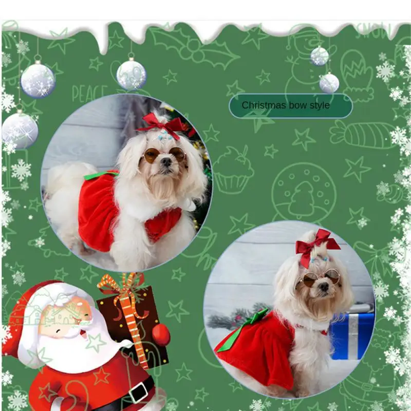 Šuo Suknelė Varėna Šventinę Atmosferą Jaukus Kalėdų Dress Naminių Reikmenys Vaidmenų Prekių Nuotraukos Tikroviška Patvarus