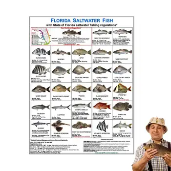 Floridoje Jūrinės Žuvys Tapatybės Kortelės Spalvotos Nuotraukos Floridos Vandenyse Taisykles, Florida Jūrinės Žuvies Identifikavimo Kortelė