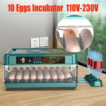 10 Kiaušinių Inkubatorius Visiškai Tekinimo Kiaušinius Brooder Ūkio Paukščių Putpelių Vištienos Paukštyno Hatcher Turner Inkubacijos Įrankis