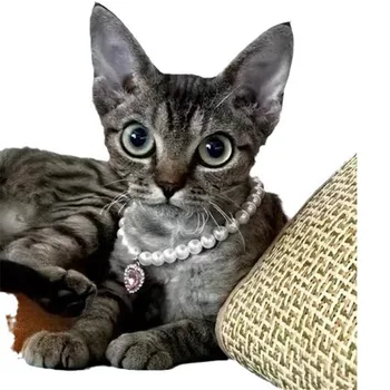 Reguliuojamas Pet Perlų Vėrinį Reikmenys, Kačių ir Šunų Gyvūnų Mados Cirkonio Kačių Antkaklis Kačiukas Šuo Collier Naminių Reikmenys